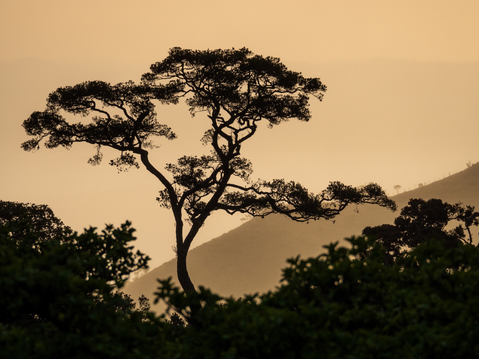 Monteverde, Costa Rica